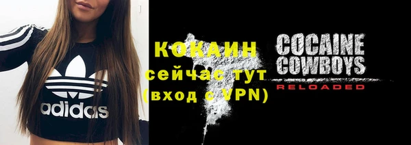 дурь Киреевск